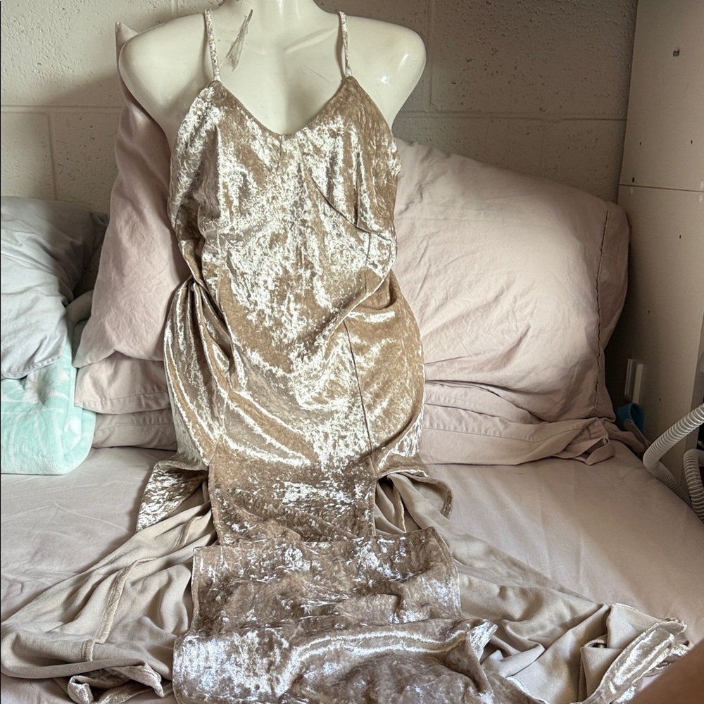 For Love And Lemons Shimmering Cream Backless Dress